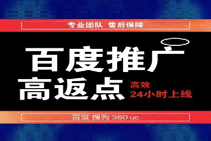 百度推广广告案例：快速抢占市场份额